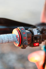 Carpe Iter Adventure Controller