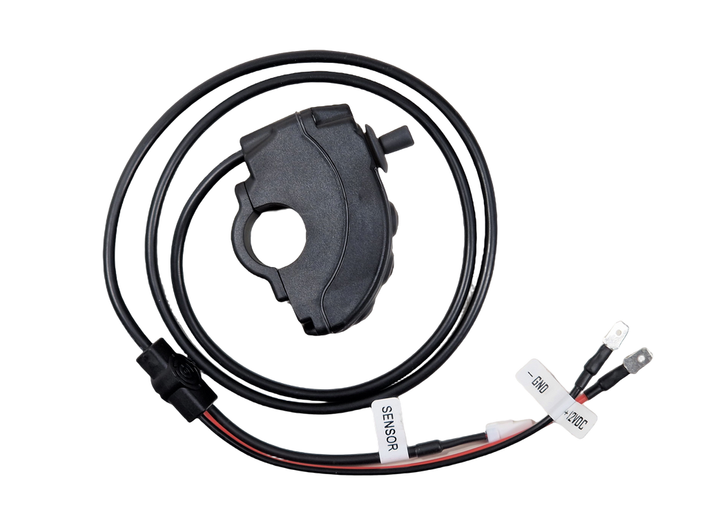 Carpe Iter Adventure Controller
