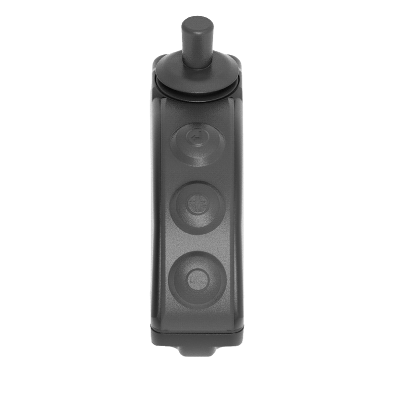 Carpe Iter Adventure Controller